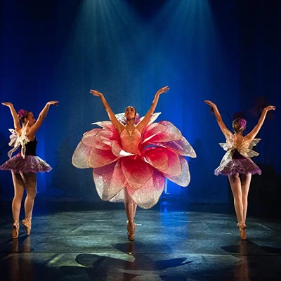 Bilde fra "Den magiske lampen" forestillingen vår